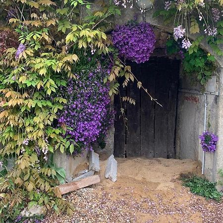 Вилла Gite Tout Confort Avec Grand Jardin, Terrasse Ombragee, Animaux Acceptes, Proche De Loches - Fr-1-381-560 Ferriere-Larcon Экстерьер фото